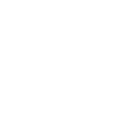 Document icon